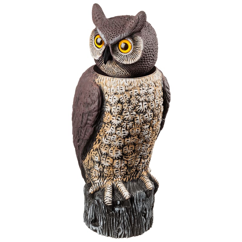 Dalen Rotating-Head Owl