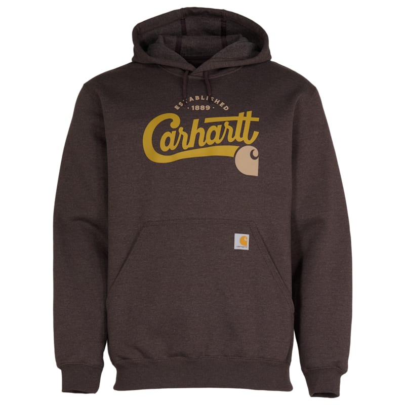Carhartt Script Graphic Hoodie