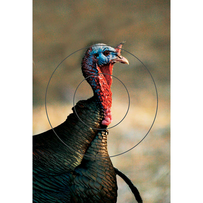 Birchwood Casey Reactive Turkey Target