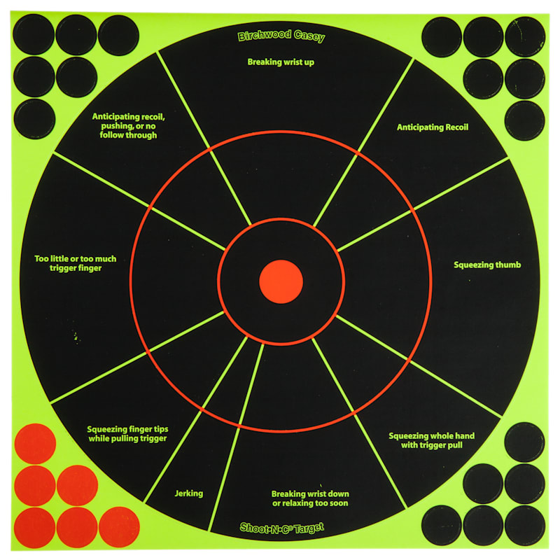 Birchwood Casey Shoot-N-C Handgun Trainer Target