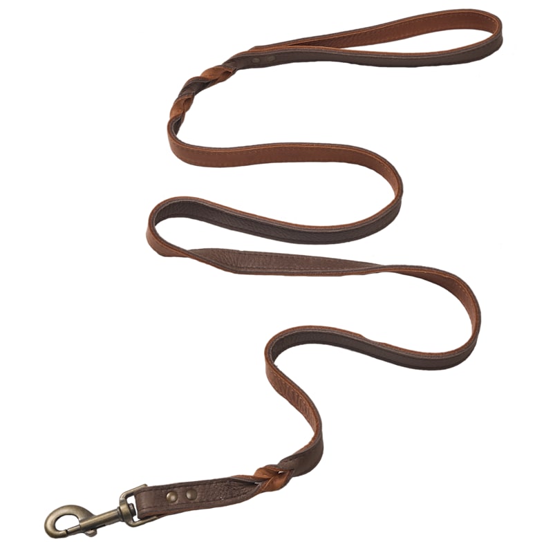 Bass Pro Shops Twist Leather Leash for Dogs