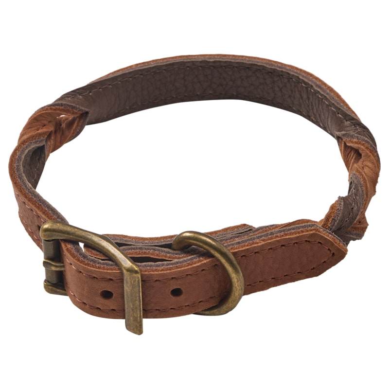 Bass Pro Shops Twist Leather Collar for Dogs