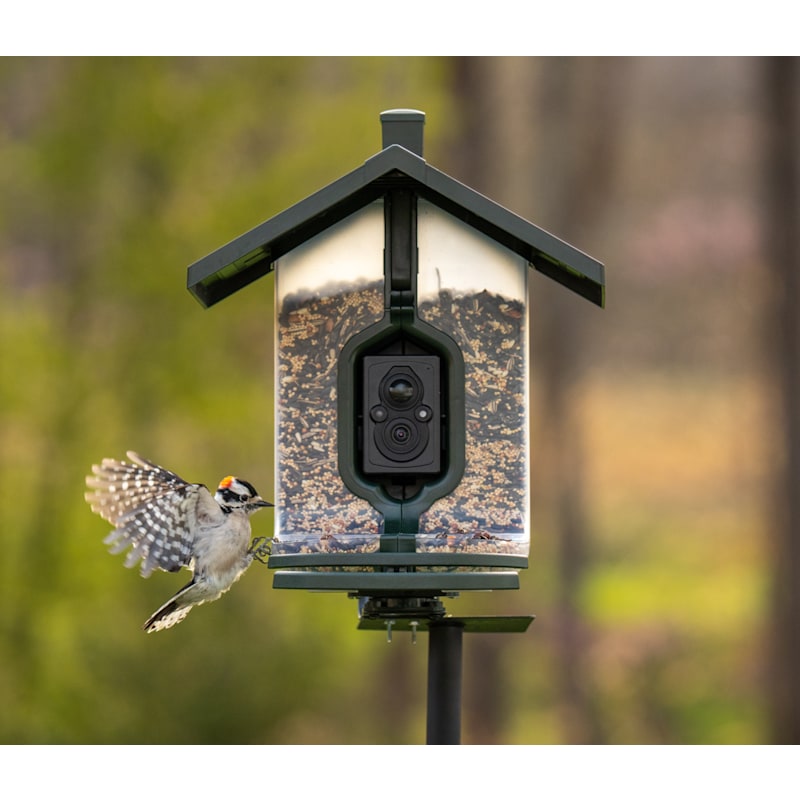 FeatherSnap Wi-Fi Smart Bird Feeder