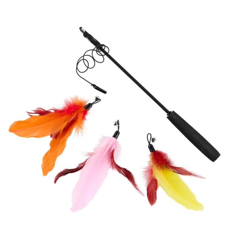 Bass Pro Shops Cat Wand and Feathers