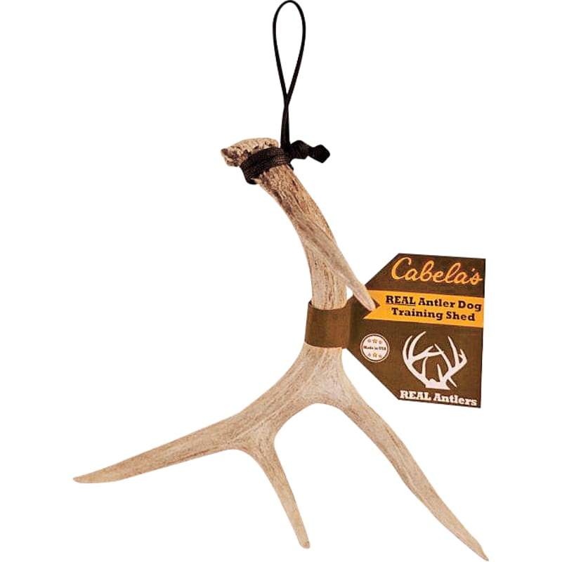 Cabela's Real Rack Shed Antler Dog Training Aid