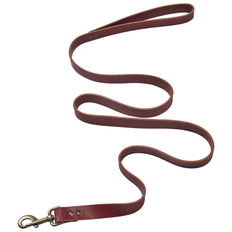 Bass Pro Shops Flat Leather Leash for Dogs