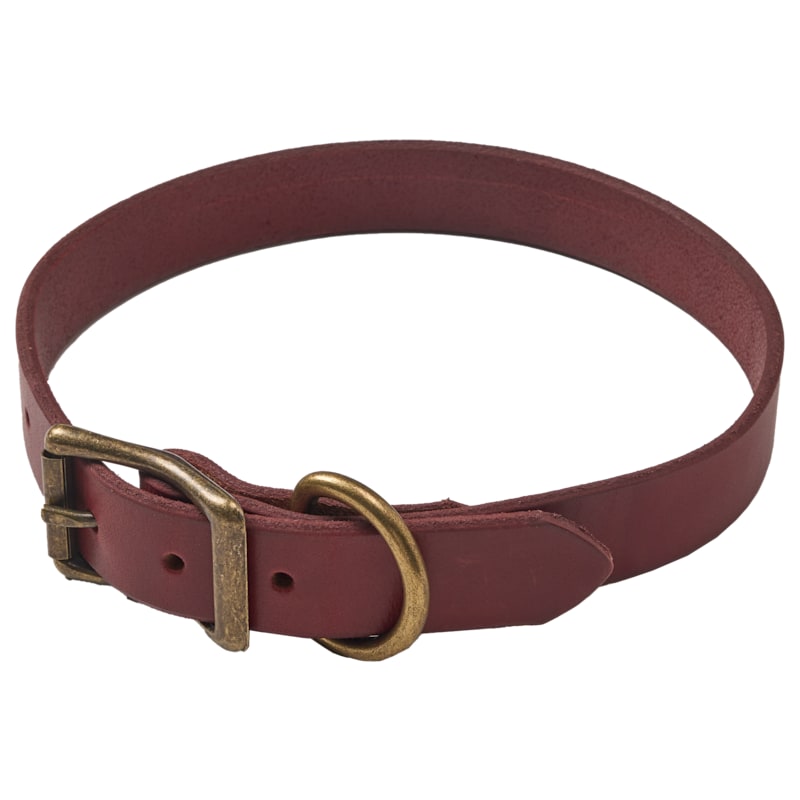 Bass Pro Shops Flat Leather Collar for Dogs