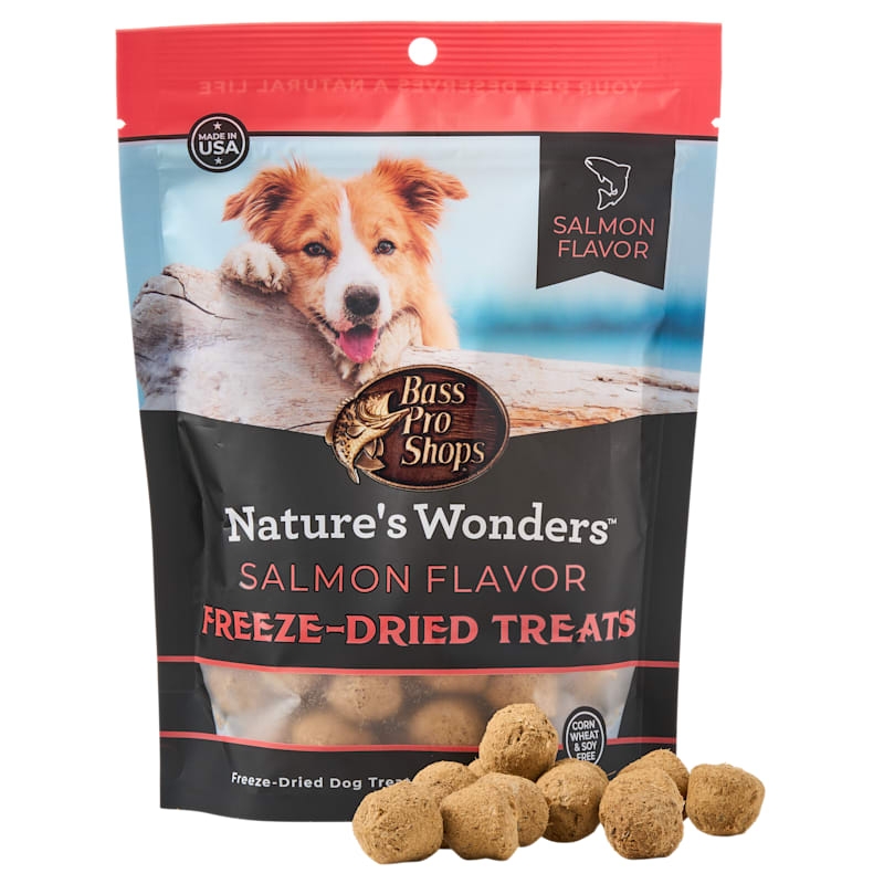 Nature's Wonders Freeze-Dried Salmon Dog Treats