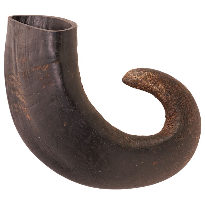 Bass Pro Shops Water Buffalo Horn Chew Treat for Dogs