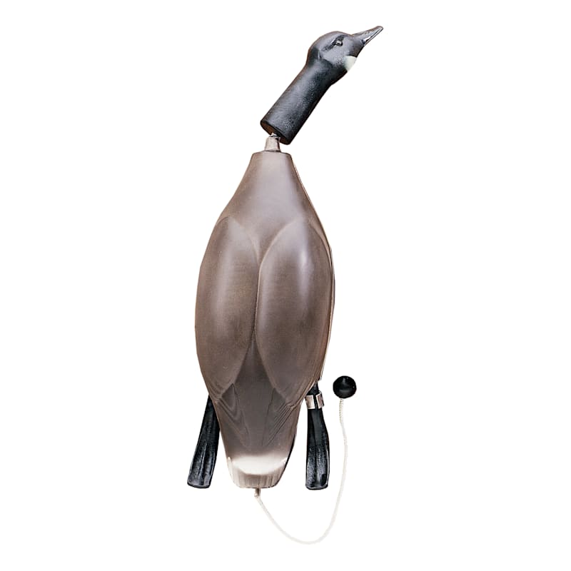 Dokken Dead Fowl Trainer Canada Goose