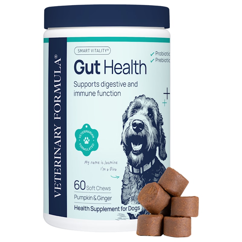 Veterinary Formula Gut Health Support Soft Chew for Dogs