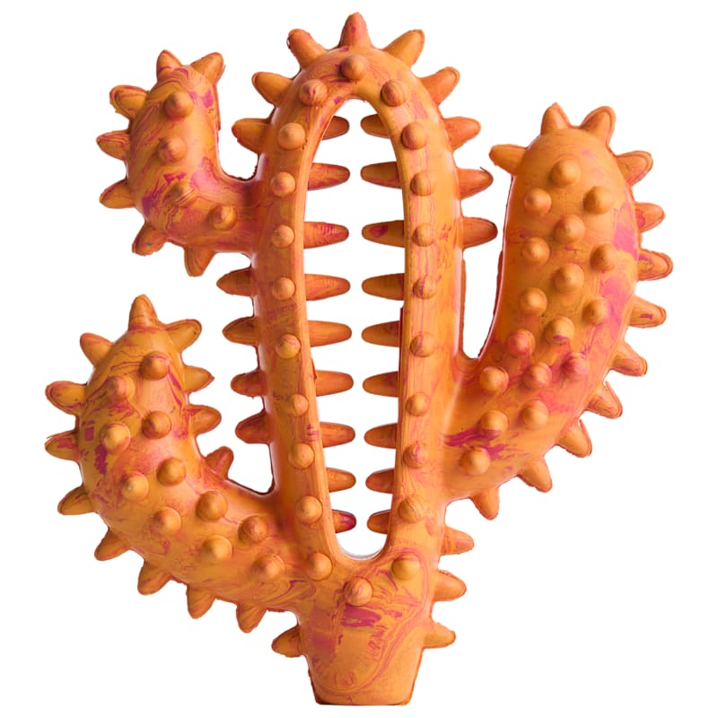 Bass Pro Shops Cactus Dog Toy