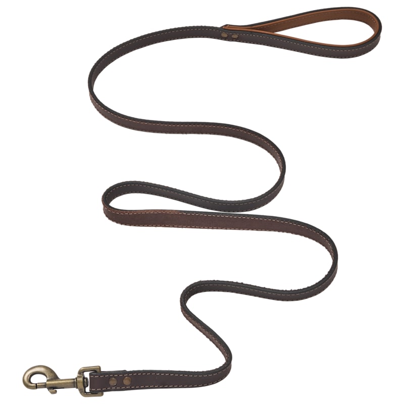 Bass Pro Shops Calf-Lined Leather Leash for Dogs