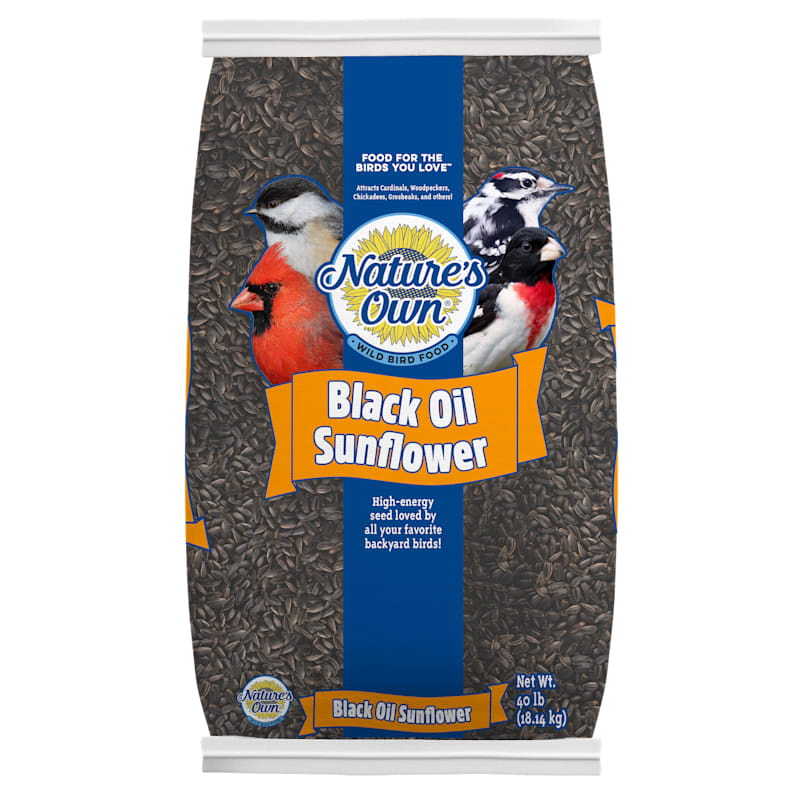 Nature's Own Black Oil Sunflower Wild Bird Food