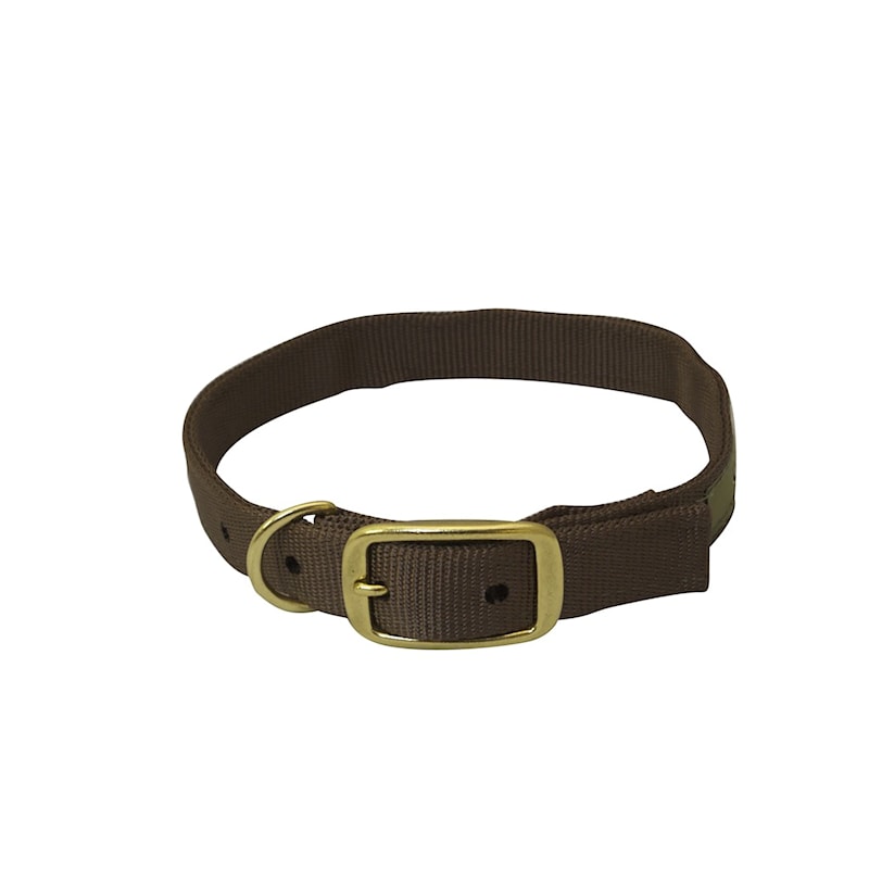 Drake Gun Dog Collar