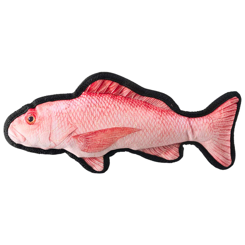 Bass Pro Shops Saltwater Fish Plush Dog Toy