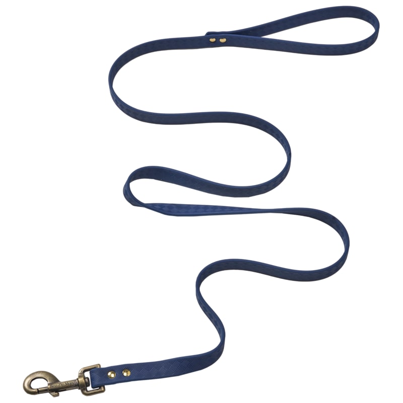 Bass Pro Shops Beta TPU Leash for Dogs