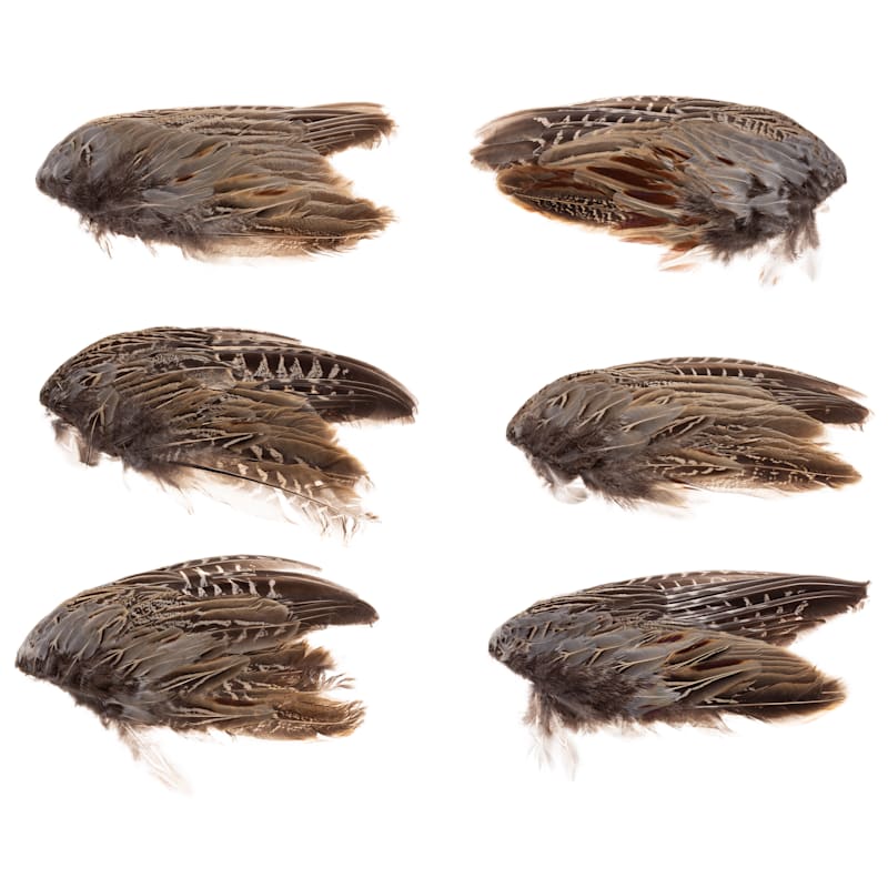 Classic T Designs Wild Pheasant Wings
