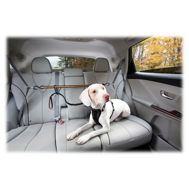 Kurgo Auto Zip Line for Dogs