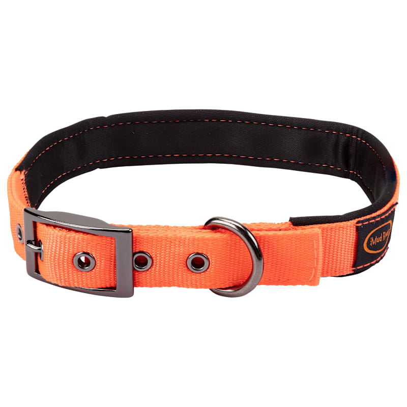 Mud River Swagger Dog Collar