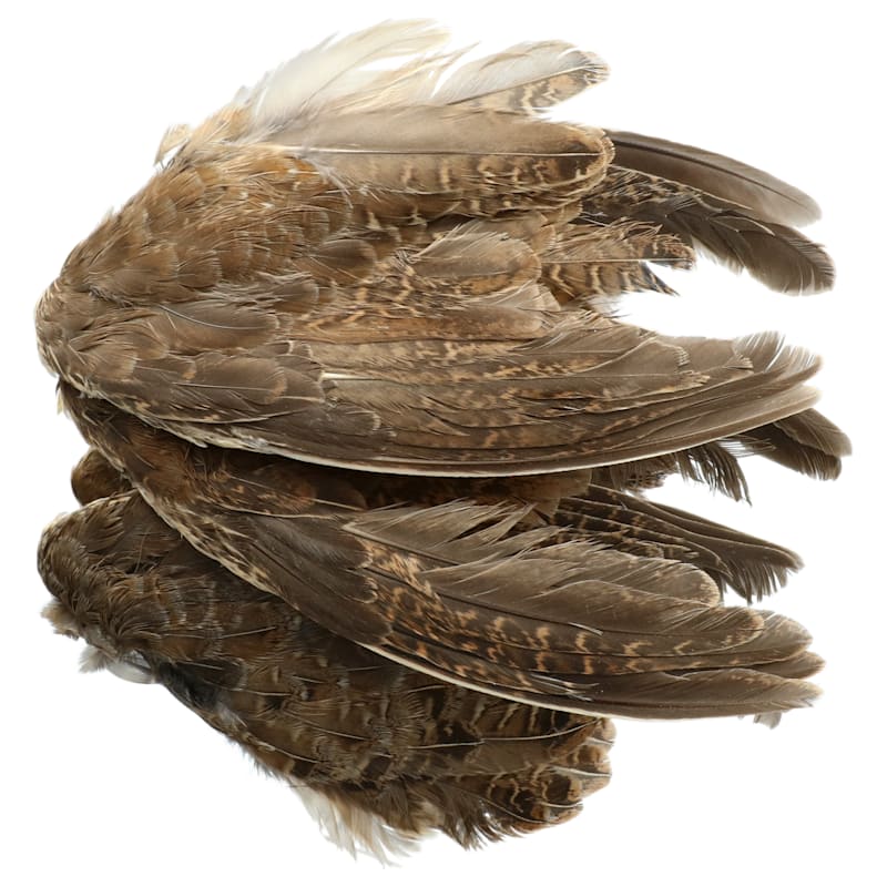 Classic T Designs Quail Wings Dog Training Aid