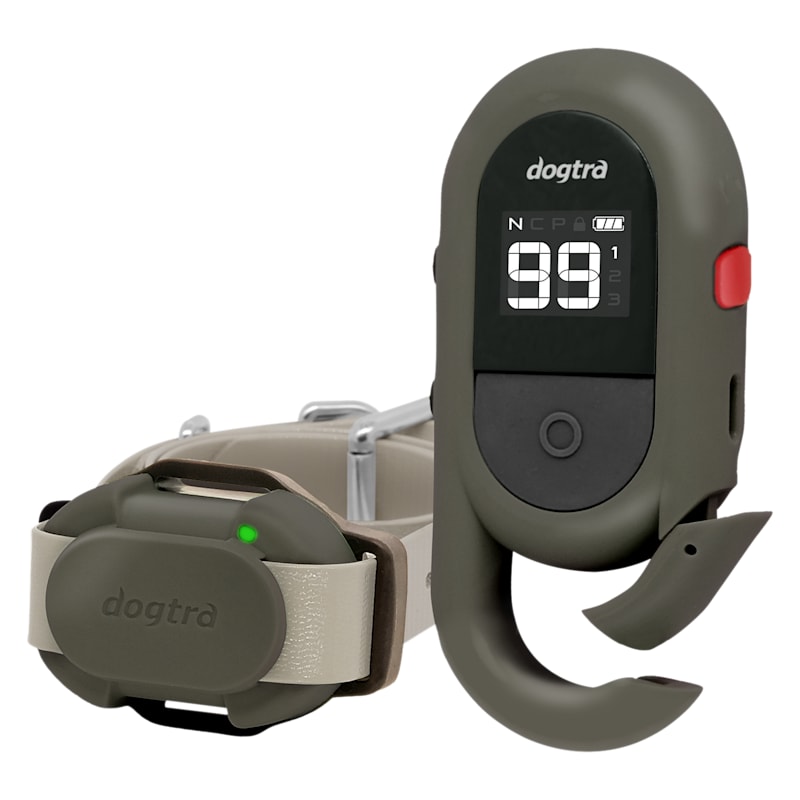 Dogtra Cue Gen 2 Electronic Collar Training System for Dogs