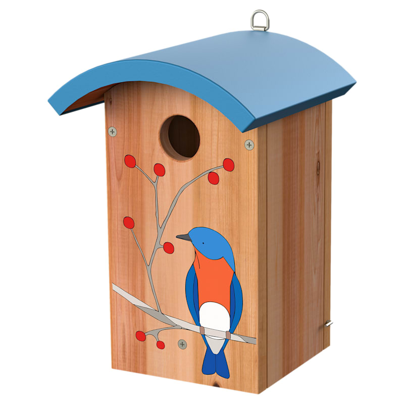 Audubon Egg Picnic Bluebird House
