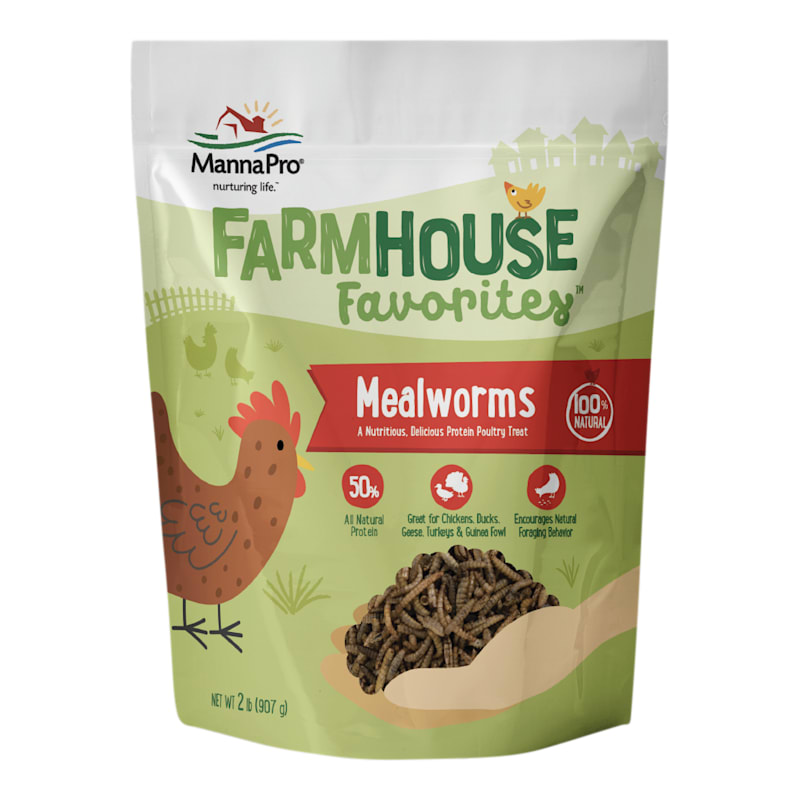 Manna Pro Farmhouse Favorites Mealworms Poultry Treats