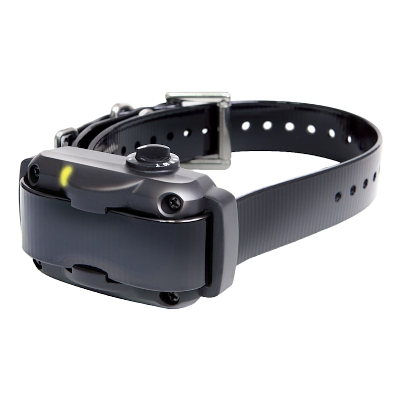 Dogtra YS600 No-Bark Large Dog E-Collar Dog Training System