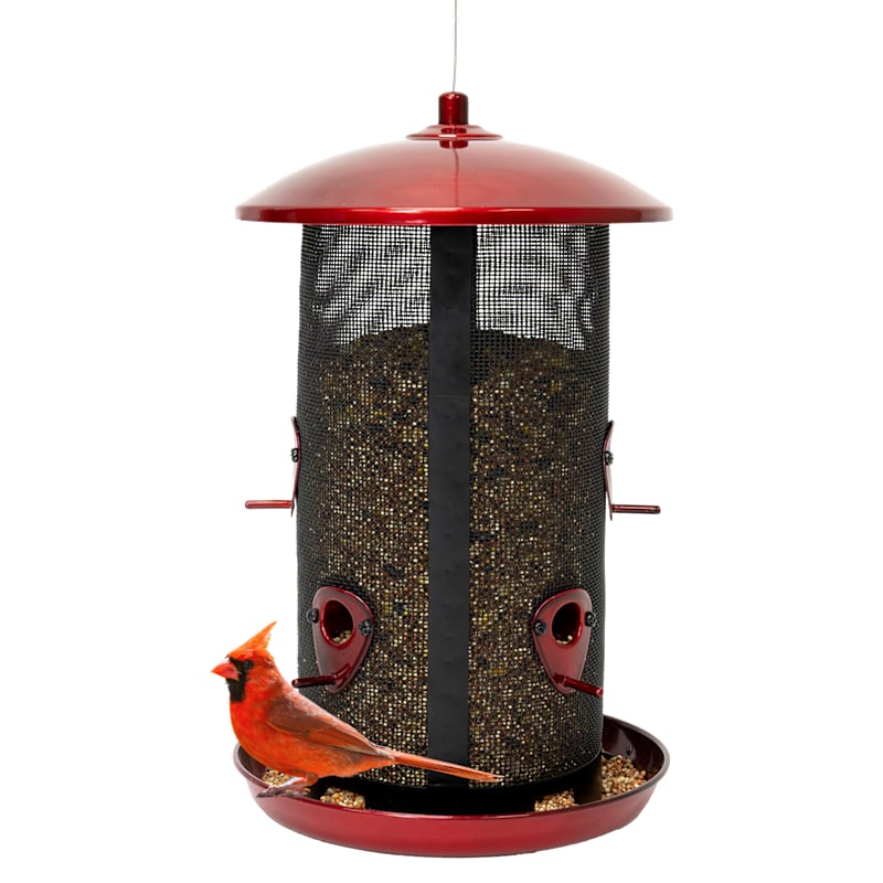North States Crimson XL Twin Feeder