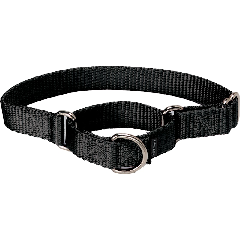 Petsafe Martingale Collar