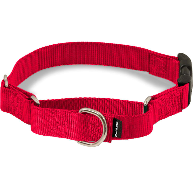 PetSafe Martingale Quick-Snap Collar