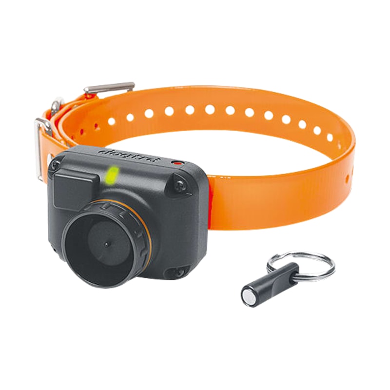 Dogtra STB Hawk Beeper E-Collar Training System