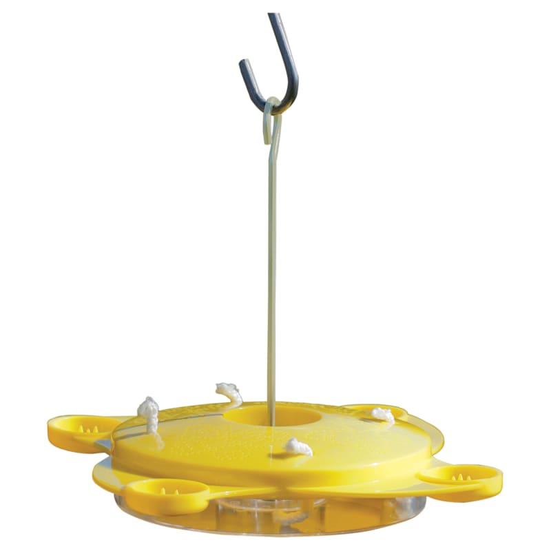Audubon Butterfly Fruit and Wick Feeder