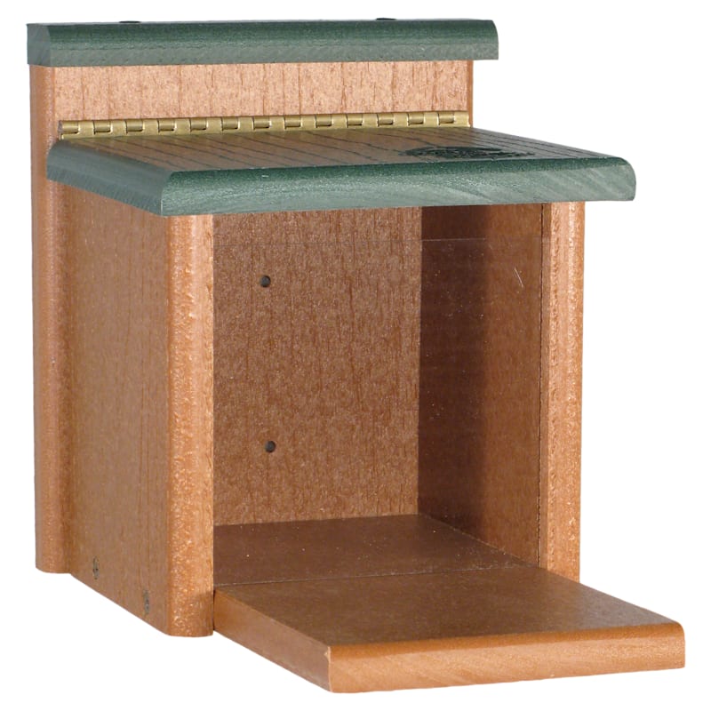 WoodLink Going Green Squirrel Munch Box
