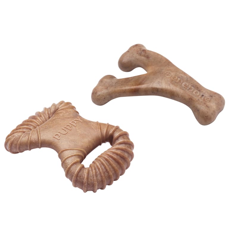 Benebone Dental Chew and Wishbone Puppy Pack