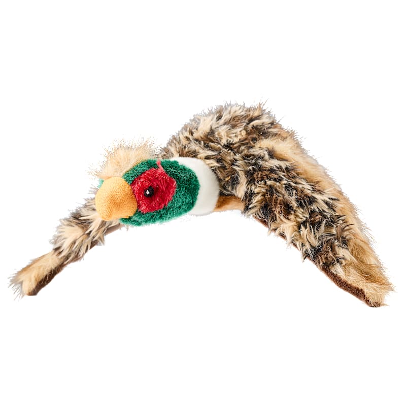 Bass Pro Shops Wildlife Bird Plush Dog Toy