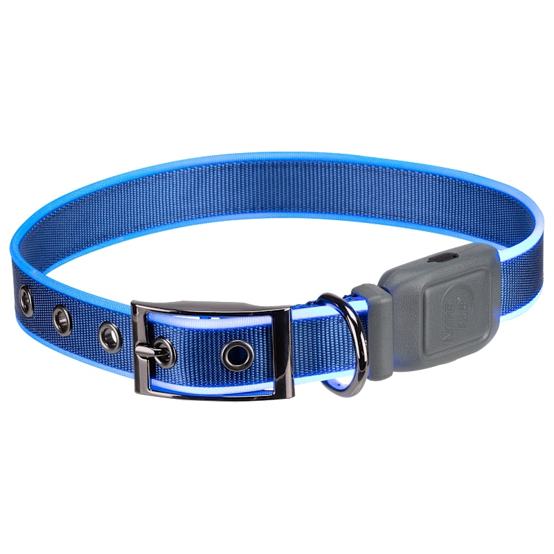 Nite Ize NiteDog Rechargeable LED Dog Collar