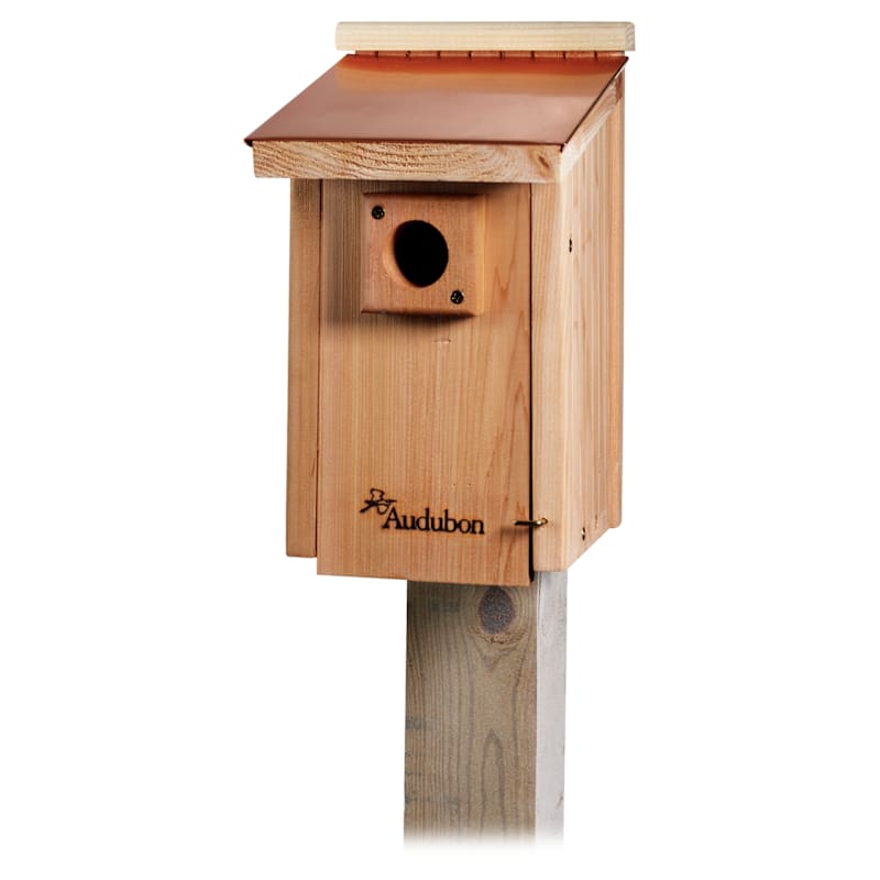 Audubon Coppertop Bluebird House