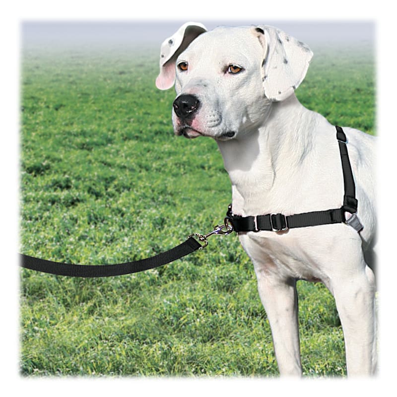 PetSafe Easy Walk Dog Harness