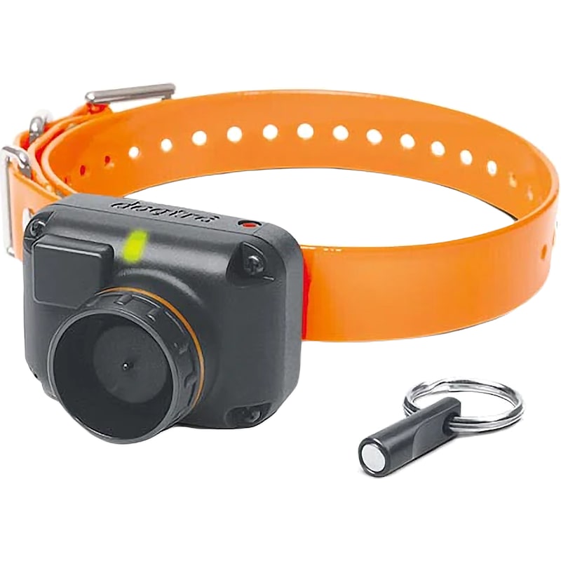 Dogtra STB Beeper E-Collar Training System