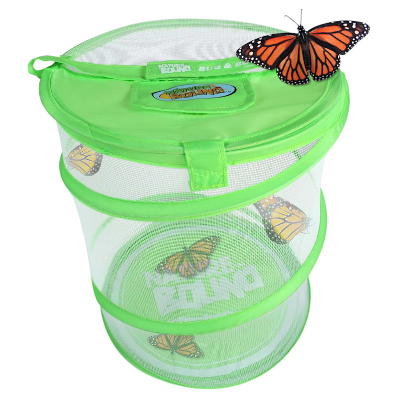 Nature Bound Live Bug and Butterfly Village