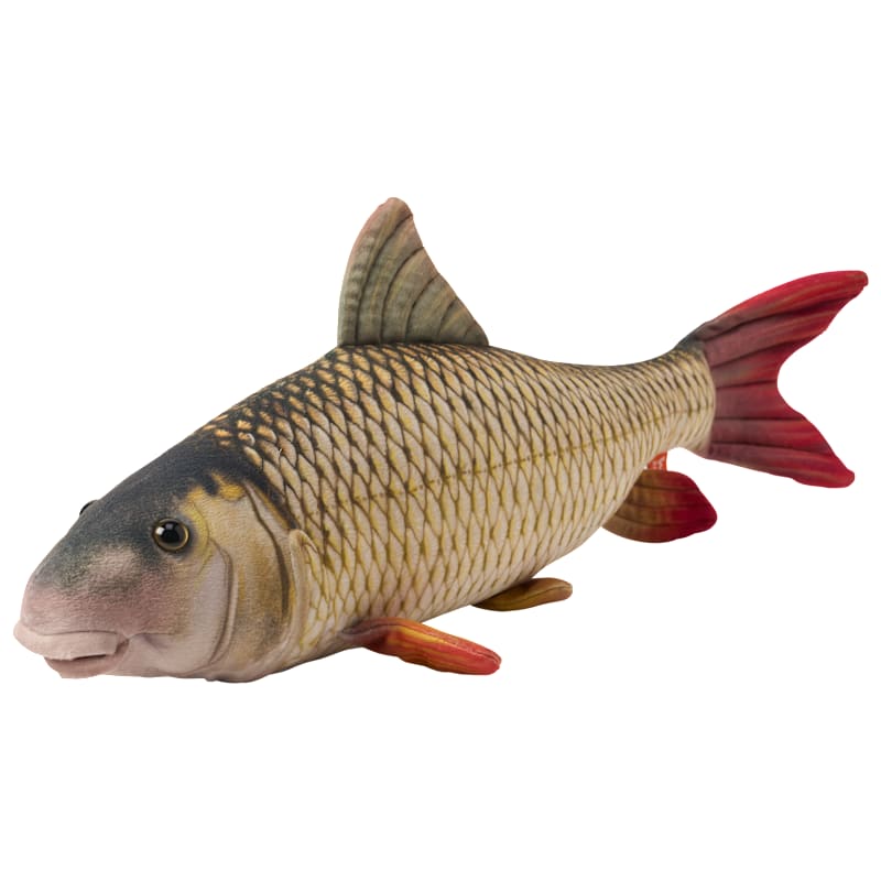 Bass Pro Shops Plush Stuffed Redhorse Sucker for Kids