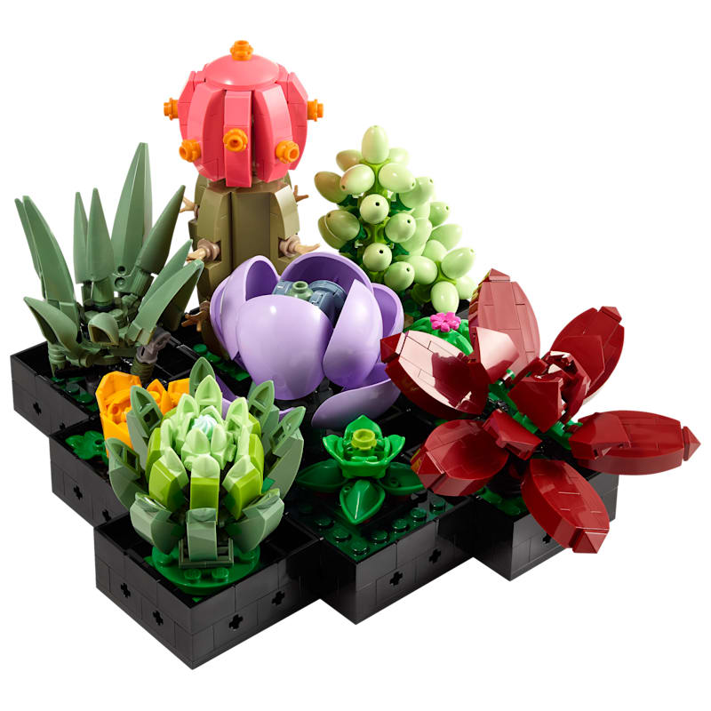 LEGO Botanicals Succulents Set