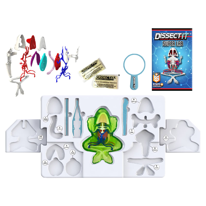 Top Secret Toys Dissect-It Frog Super Lab