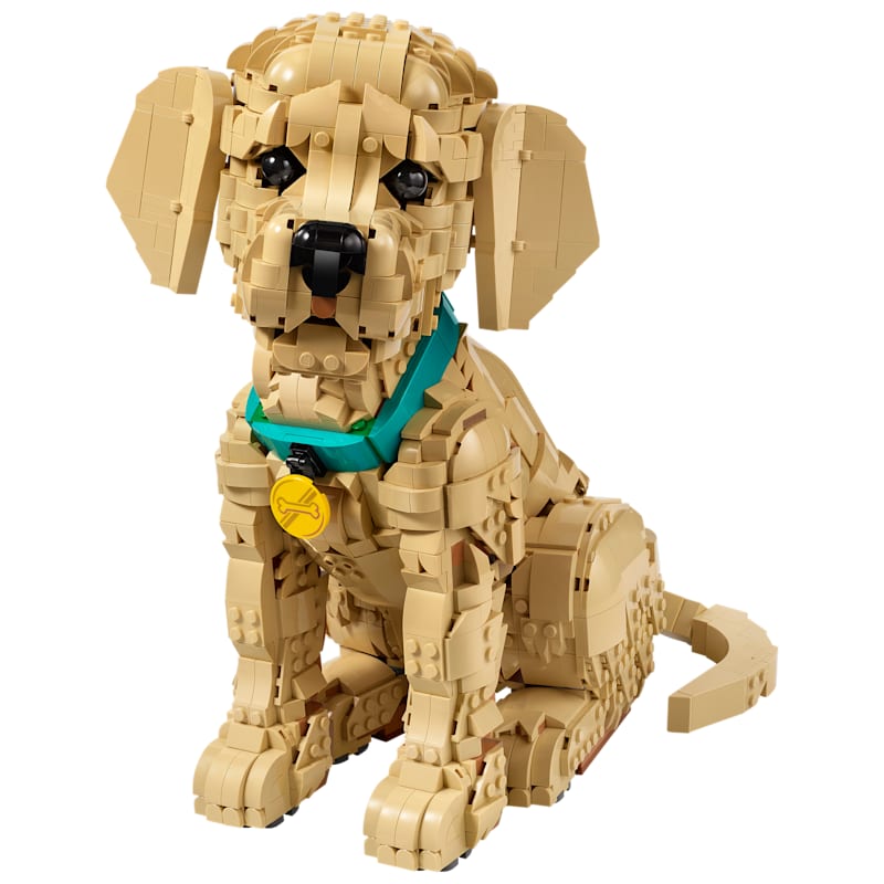 LEGO Icons Golden Retriever Puppy Set