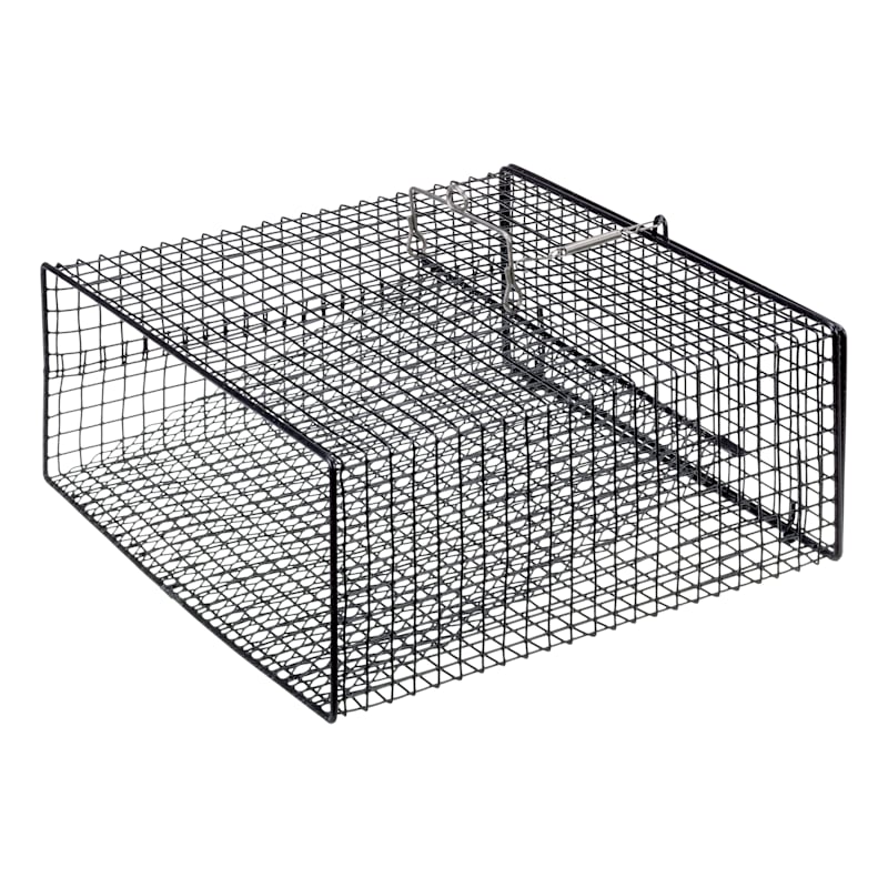 Bass Pro Shops Rectangle-Shaped Crawfish Trap