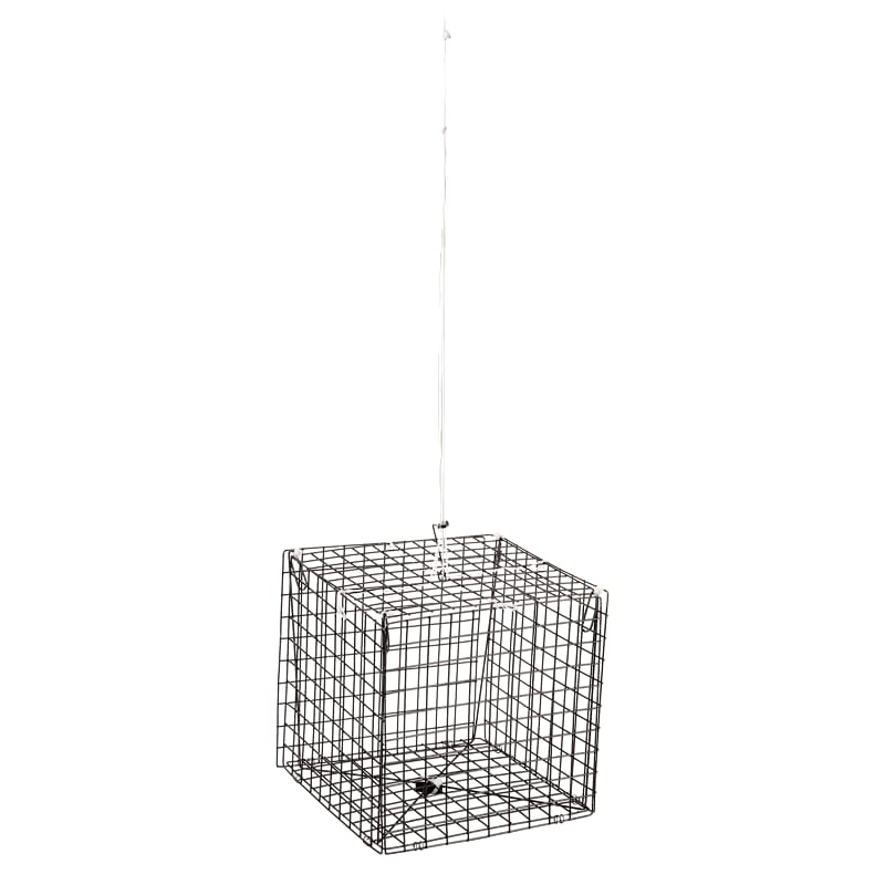 Offshore Angler Square Crab Trap