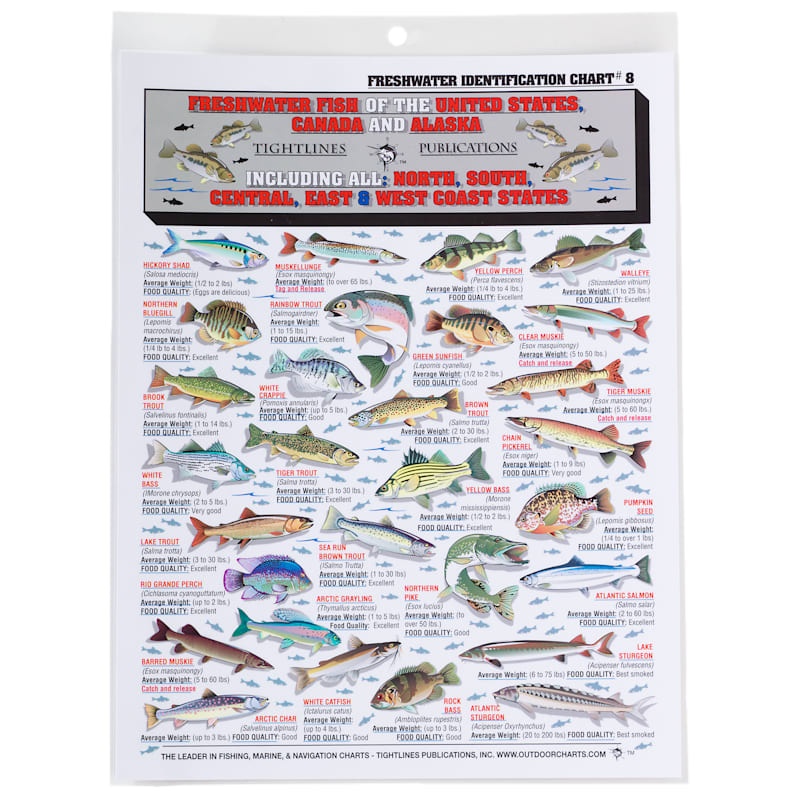 Waterproof Freshwater Fish ID Chart #8