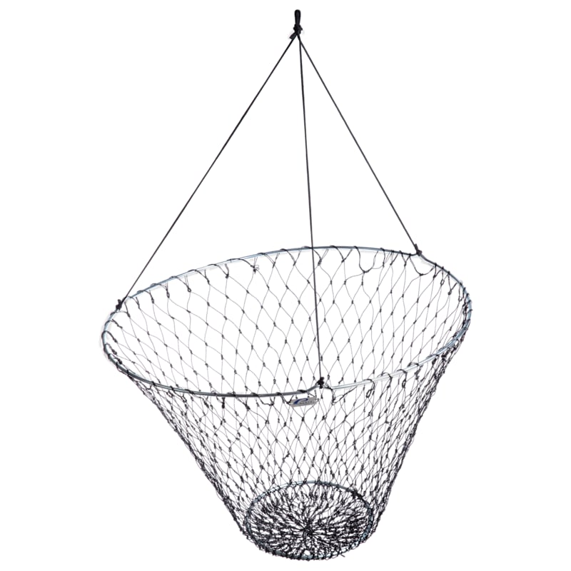 Promar Bridge Net